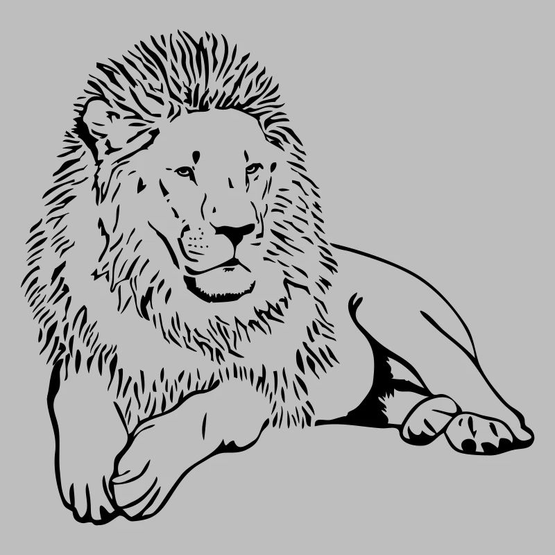 Löwe - Katze - Lion