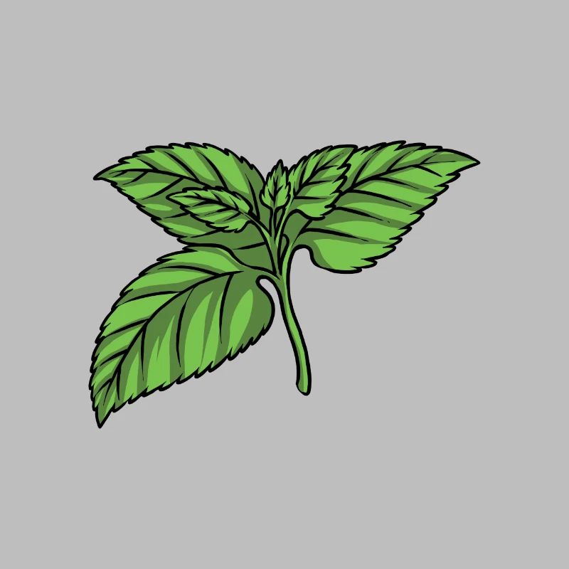 Mint Mint leaf