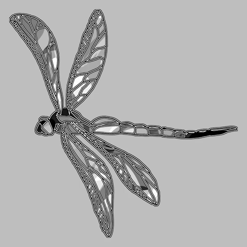 Libellule