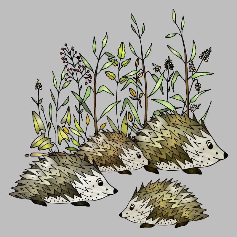 Igel