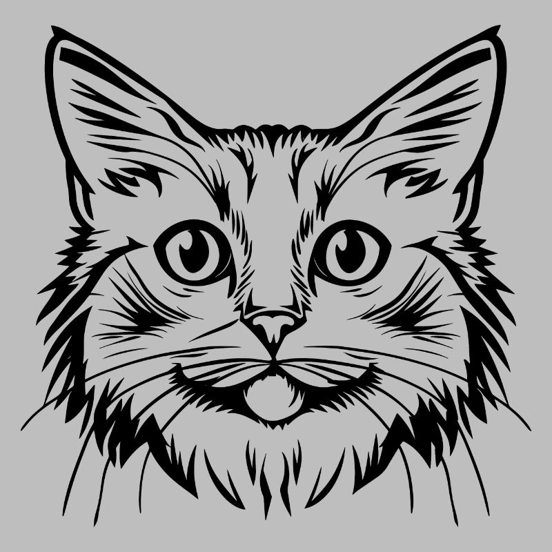 Chat, Motif De Chat, Visage De Chat
