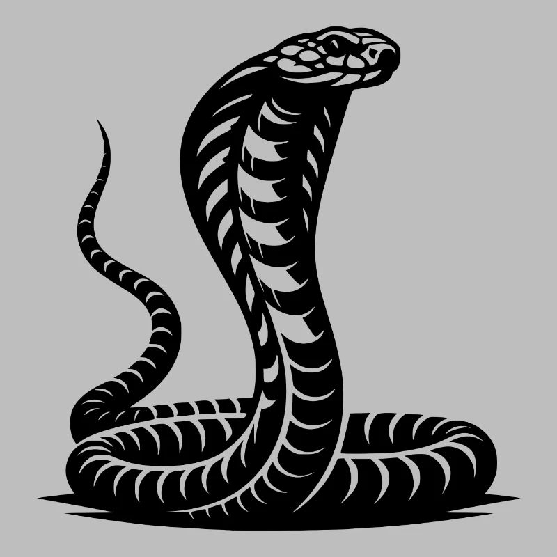 Serpent Cobra Cou Bouclier Menaçant Conception Posture
