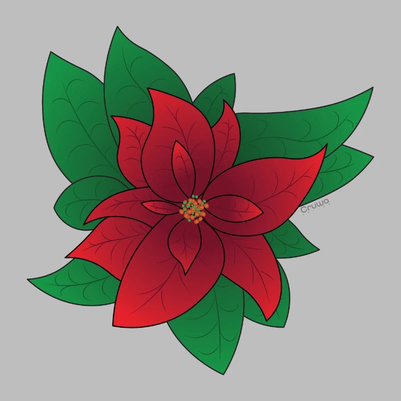 Weihnachtsstern