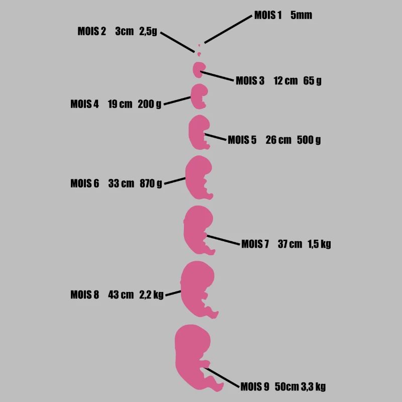 bébé evolution