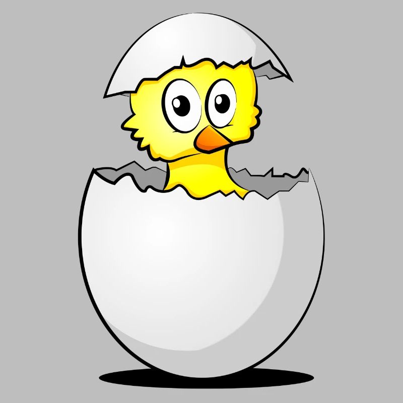 Chick