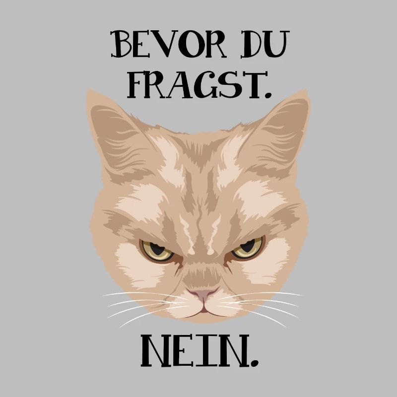 Grumpy Cat - Avant de demander_Non - P.