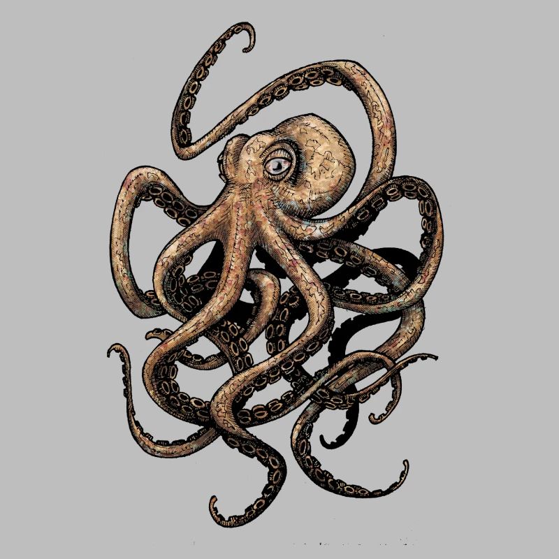 Octopus