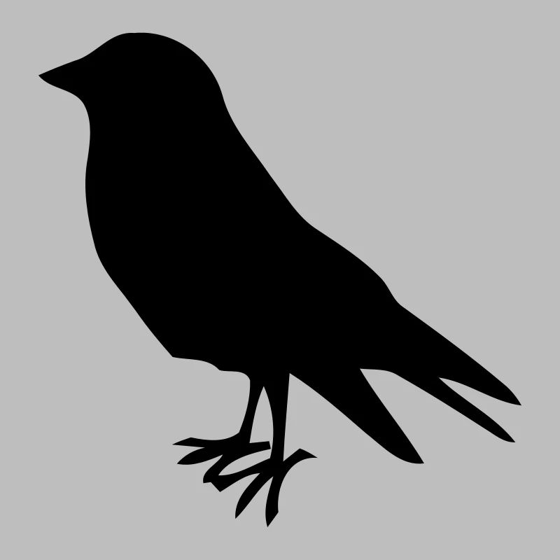 oiseau oiseaux oiseaux tôt