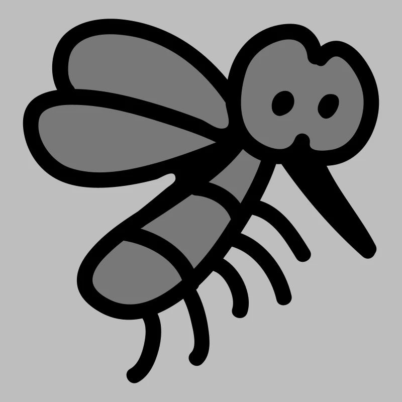 Mosquito - insect