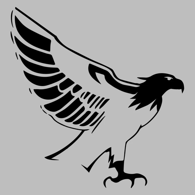 aigle qui vole ouvrant les ailes de profile