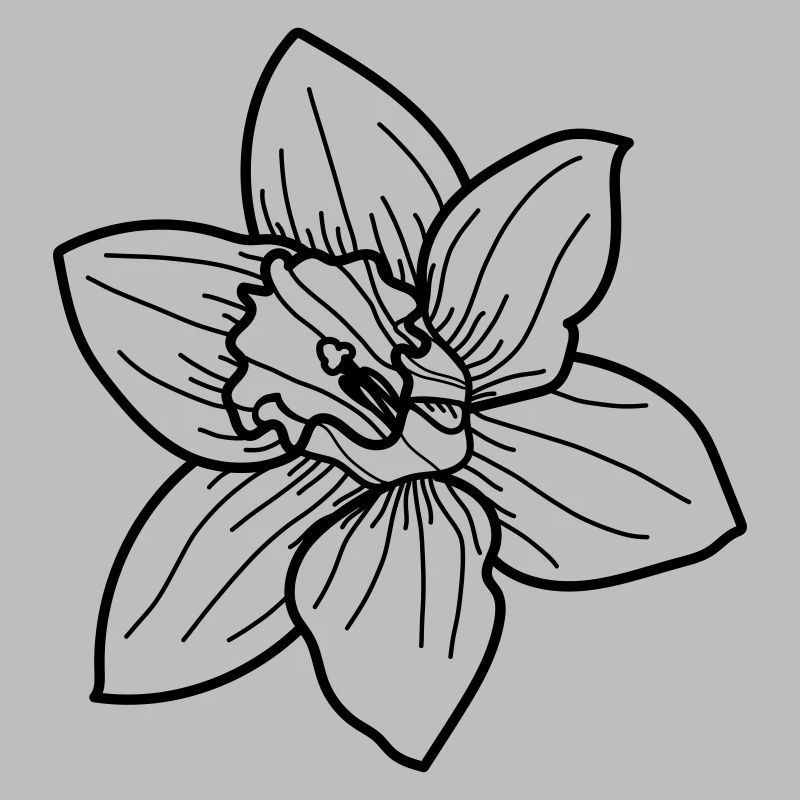 Fleur de jonquille