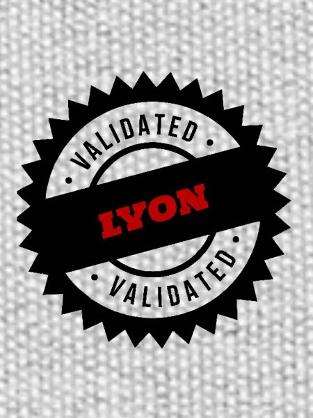 LYON Stadt