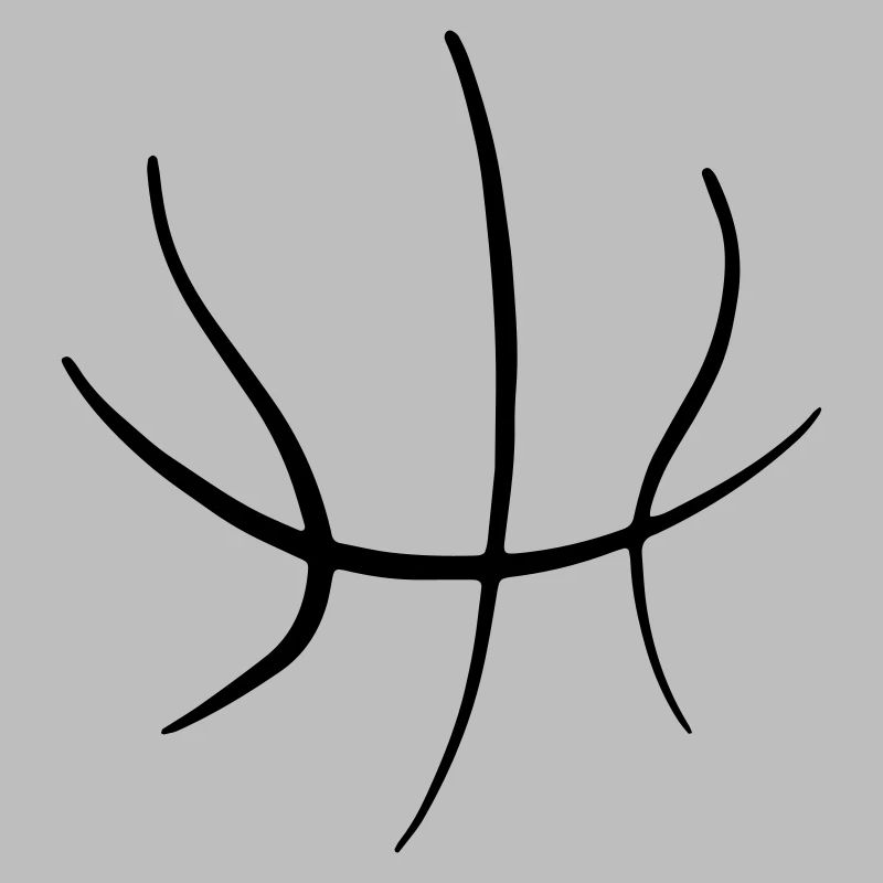 Basket-ball 49