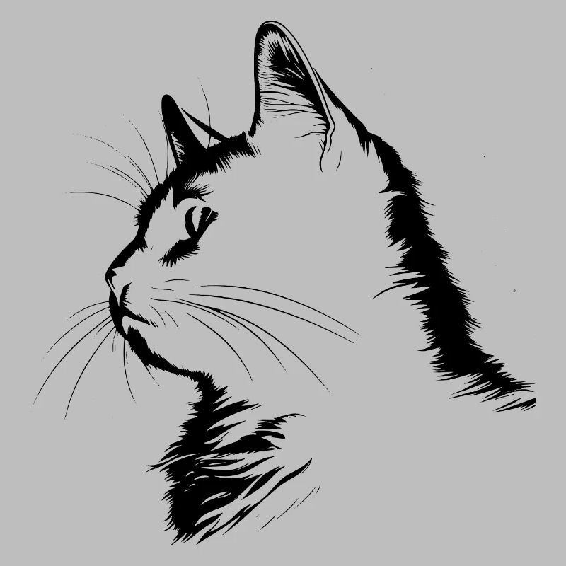 Chat, Motif De Chat