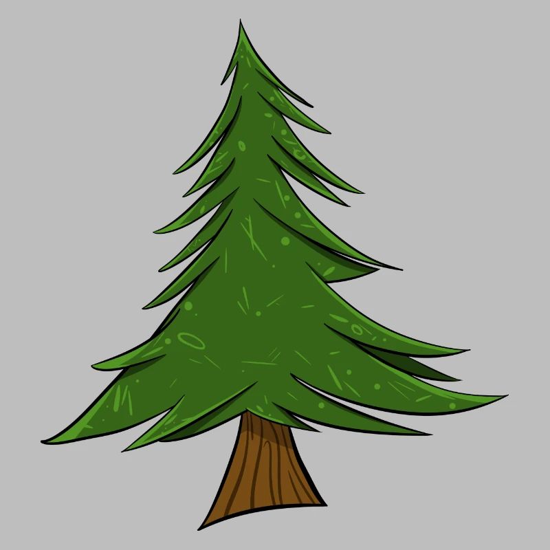 Fir | Christmas Tree | Pine Tree