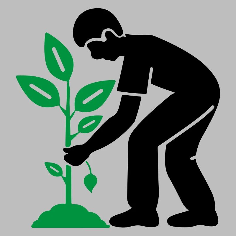 Tree Plants Garden Environment
