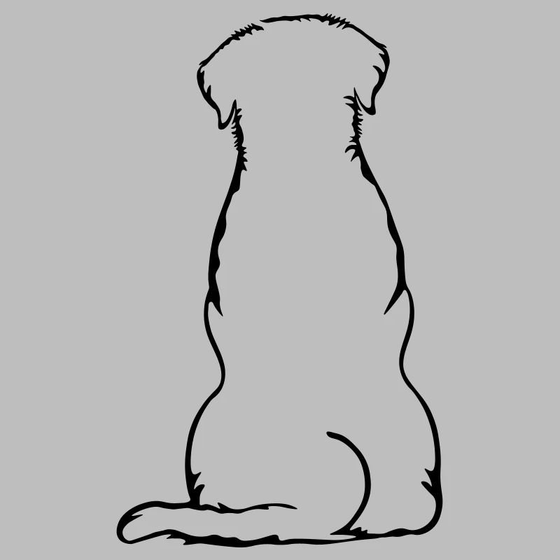Labbi_sitzend_Back
