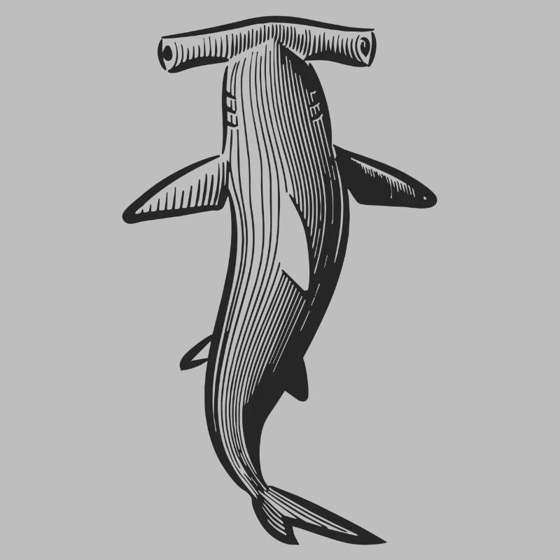 Conception de requin marteau