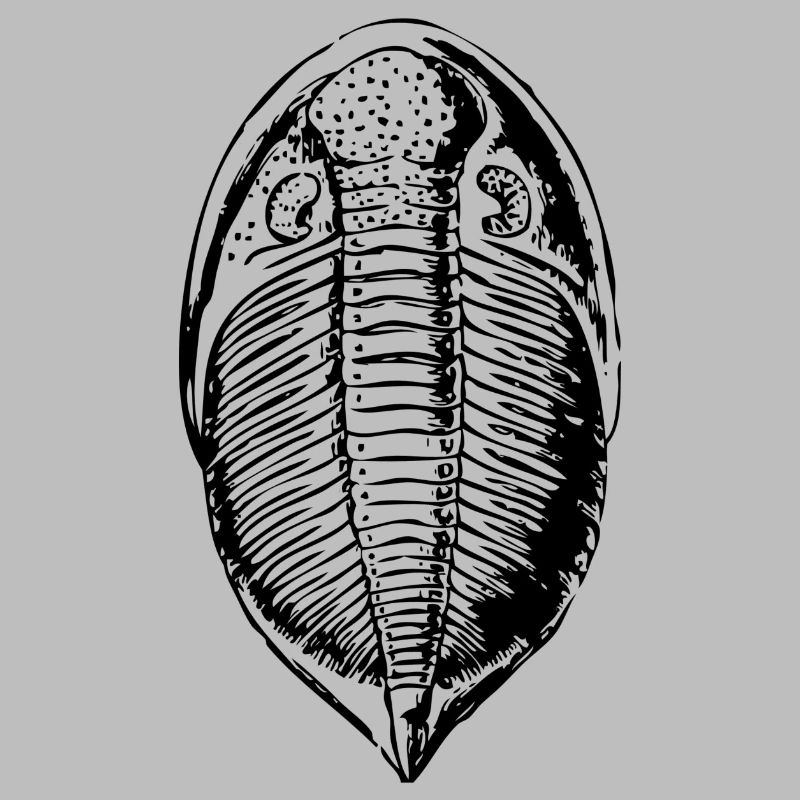 fossile