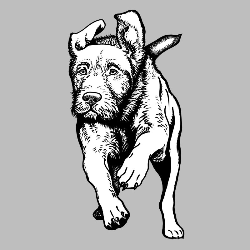 Jagdhunde-Aktion