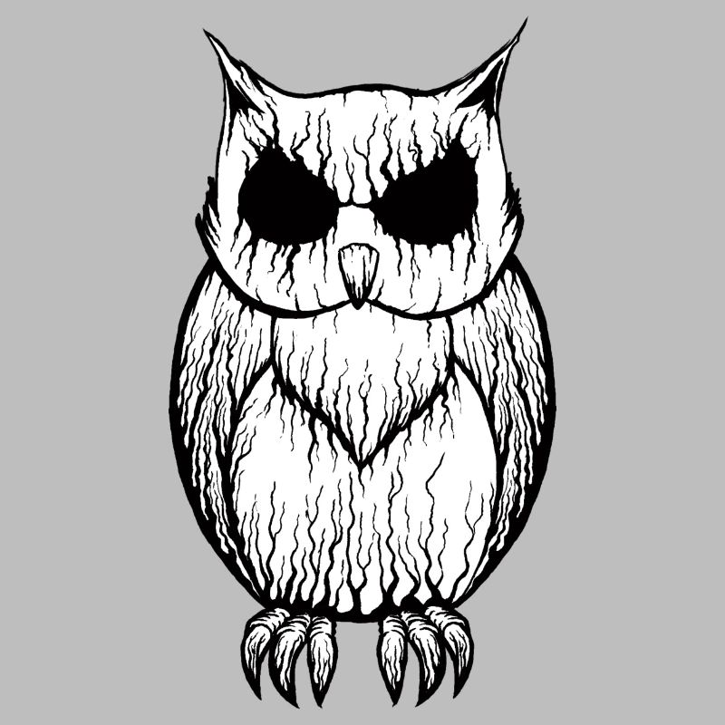 NightOwl