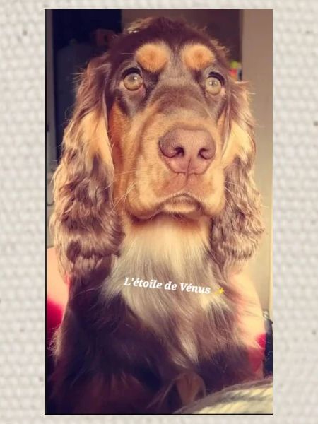 Lady ❤️