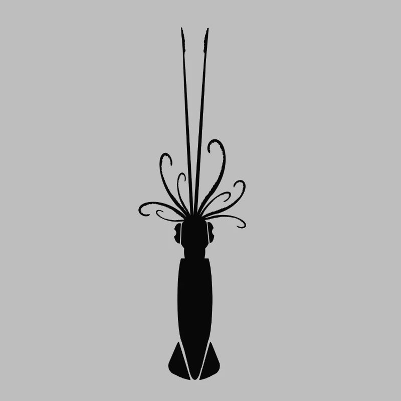 Squid