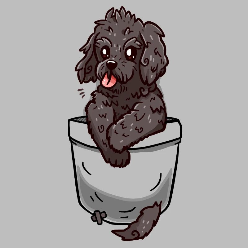 Poche Cockapoo