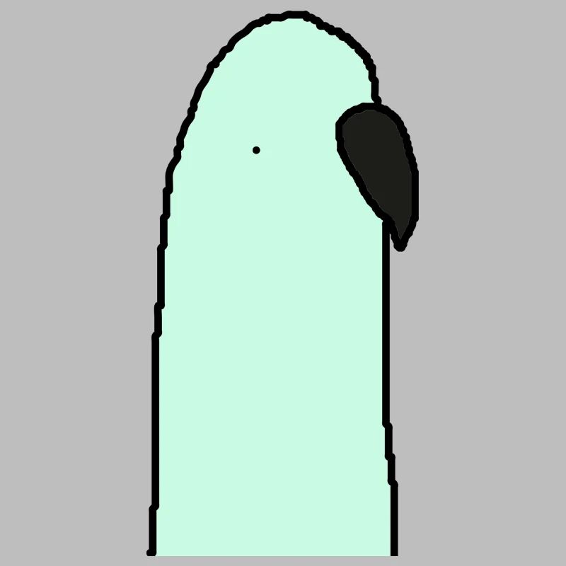 Perruche