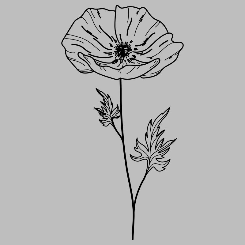 Mohn Blume 13 Zeichenfläche 5