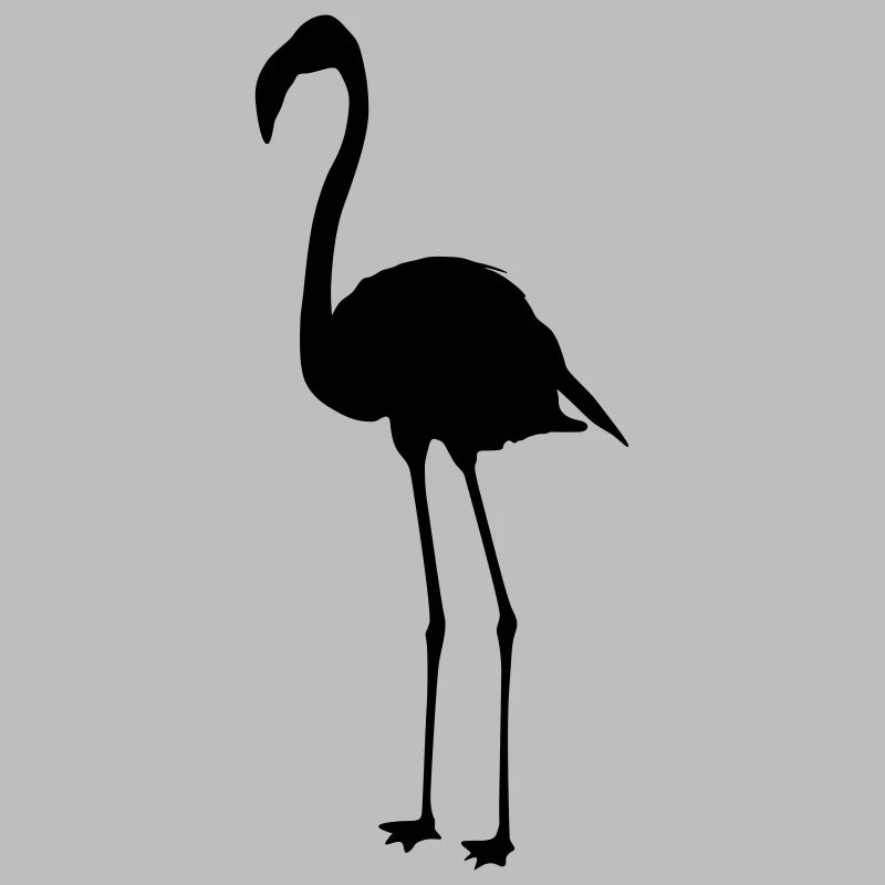 Flamingos 6