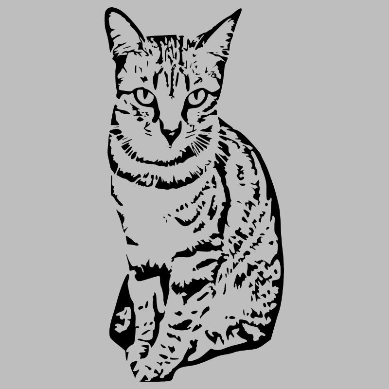 Chat Chaton Tigre Chat Chat Chat Cadeau