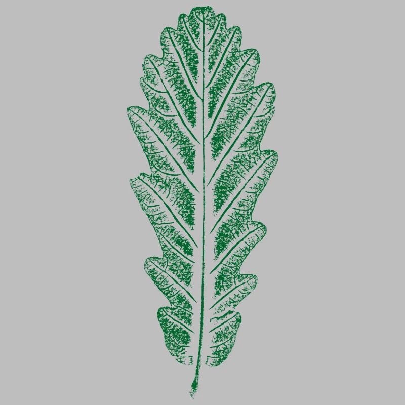 Eiche - Blatt / Eichenblatt - DRUCK