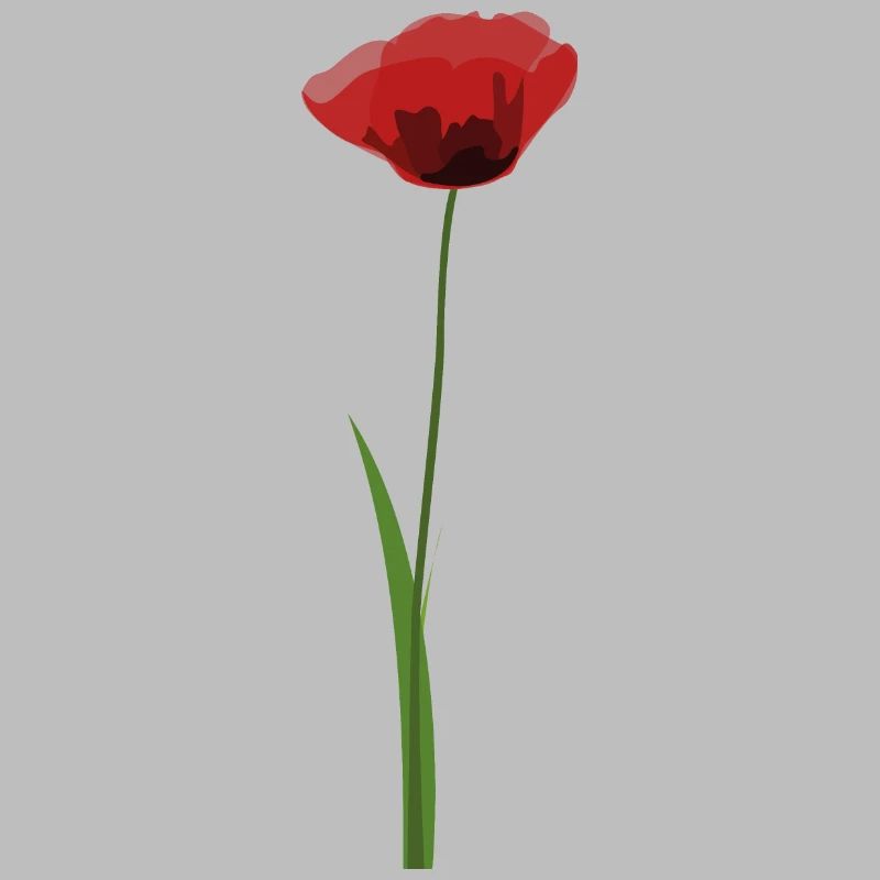 Mohn
