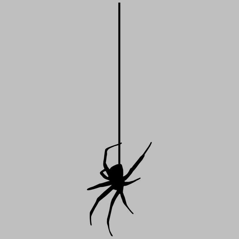 Spider on a thread