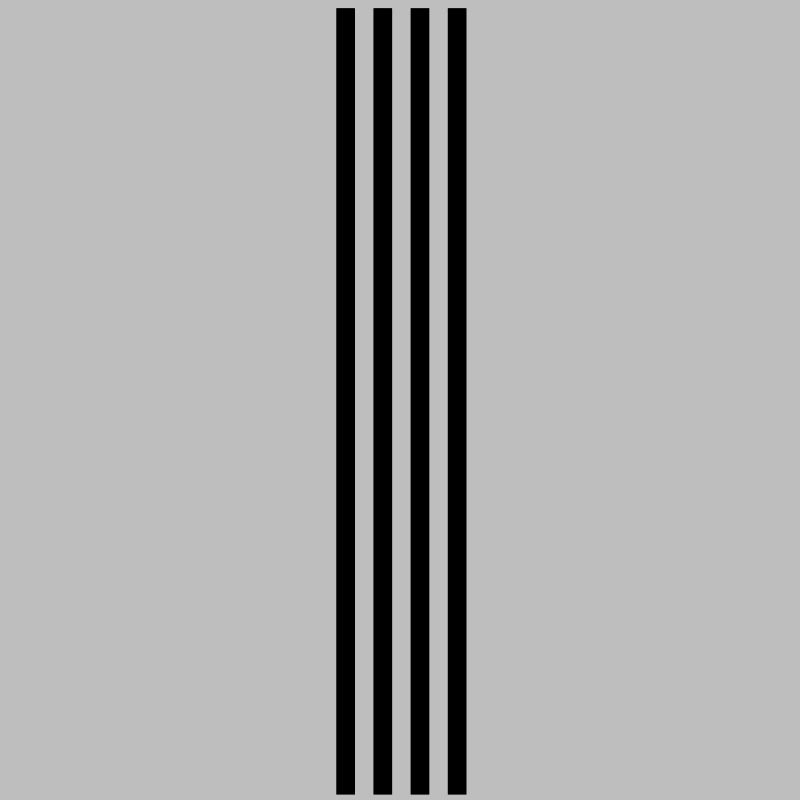 skidmarks