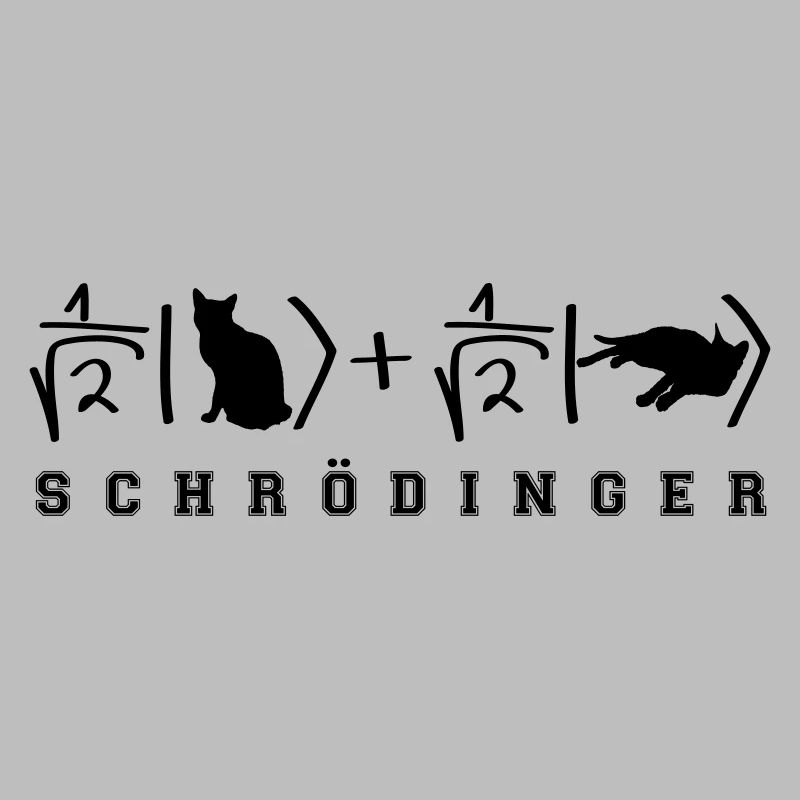 Phsyique Schrödinger Chat