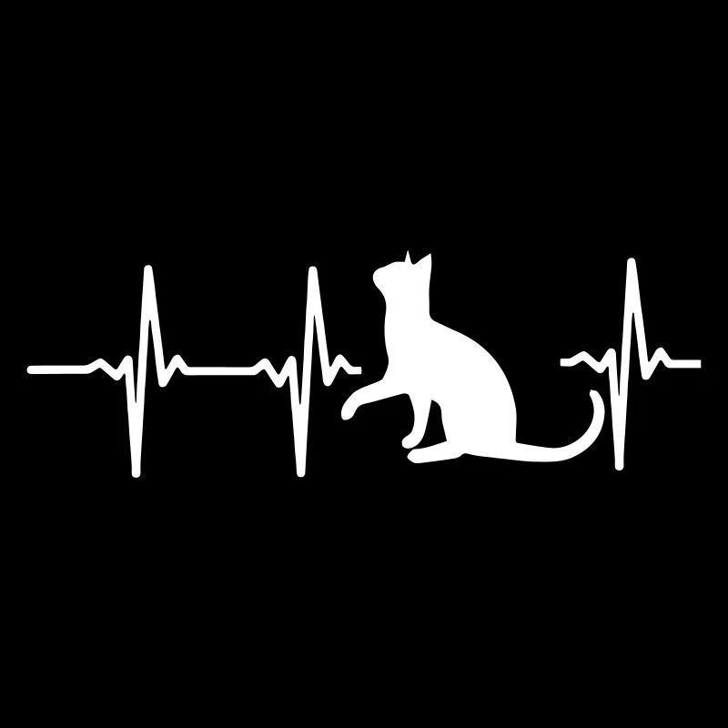 A HEART FOR CATS!