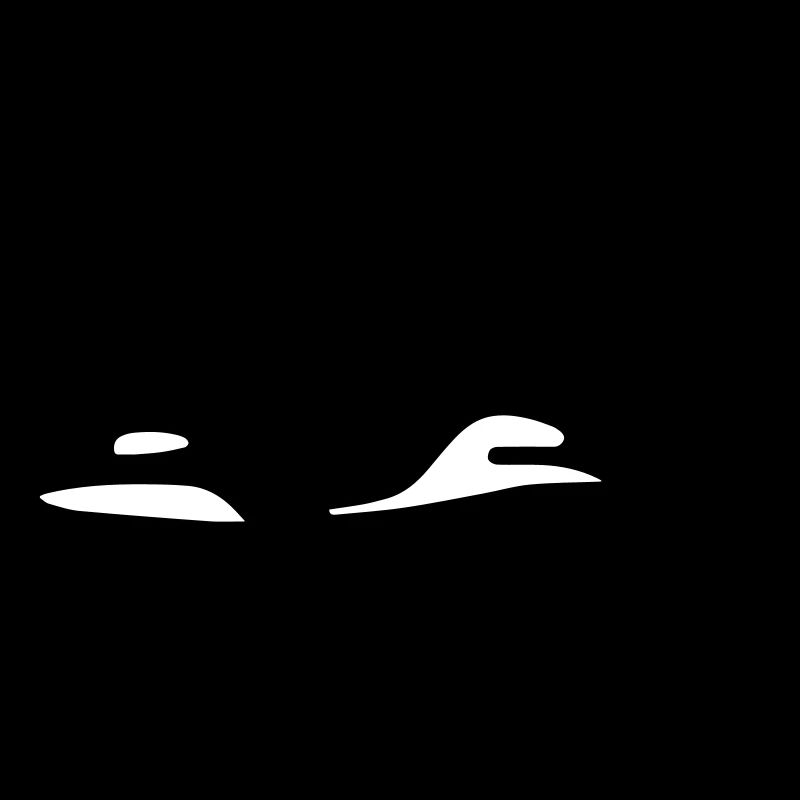 Killer whale shark ocean