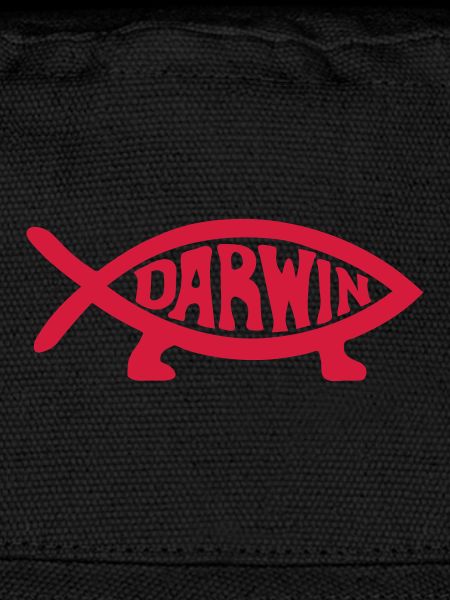 Darwin Fish