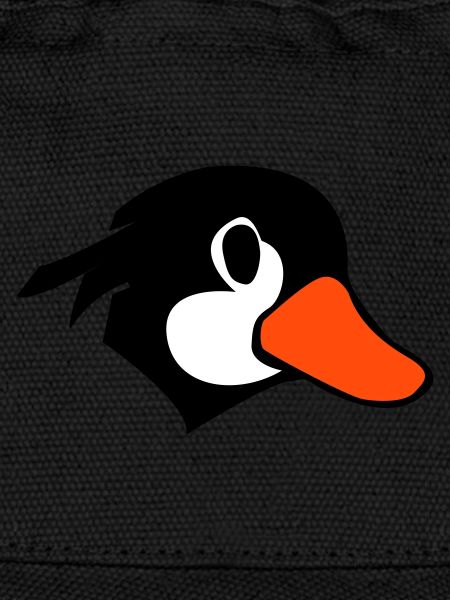 Comic Duck