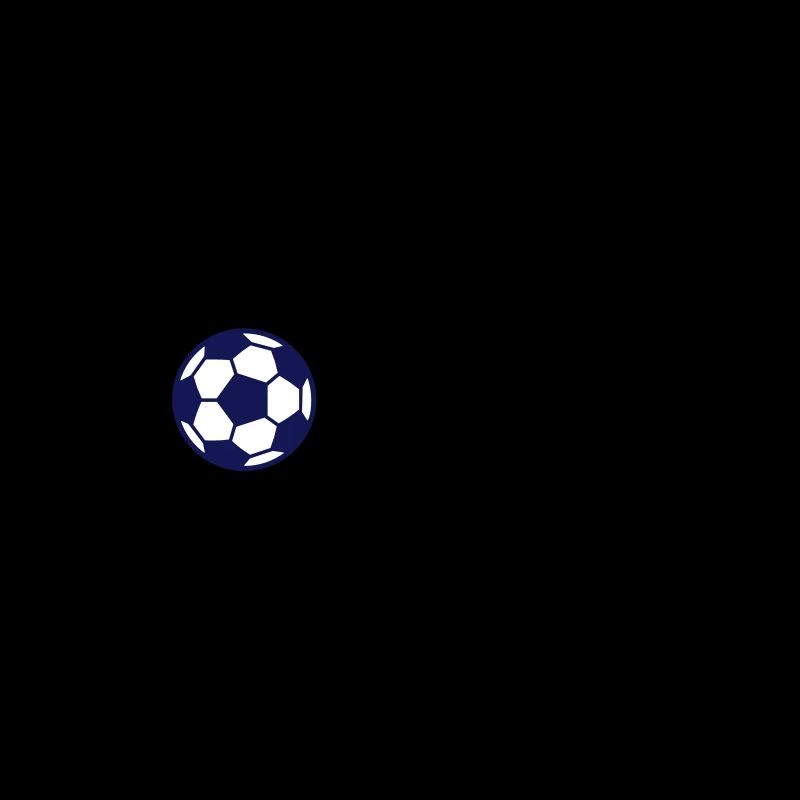 Entraîneur de football