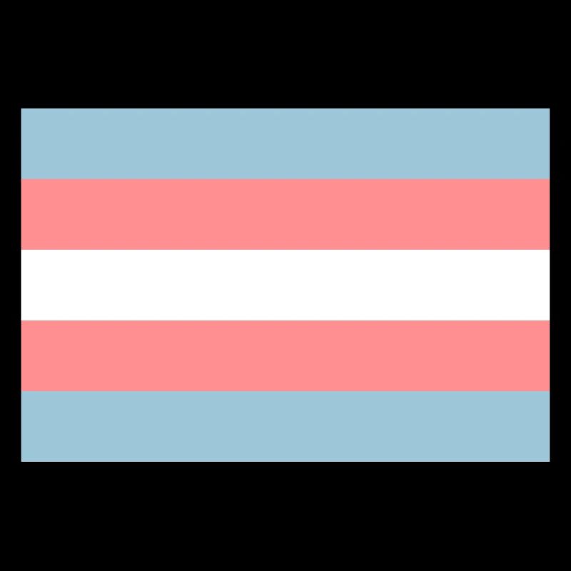 Transgender-Pride-Flag.