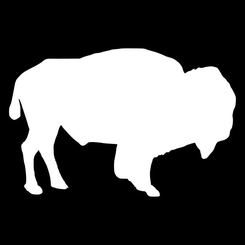 Bison