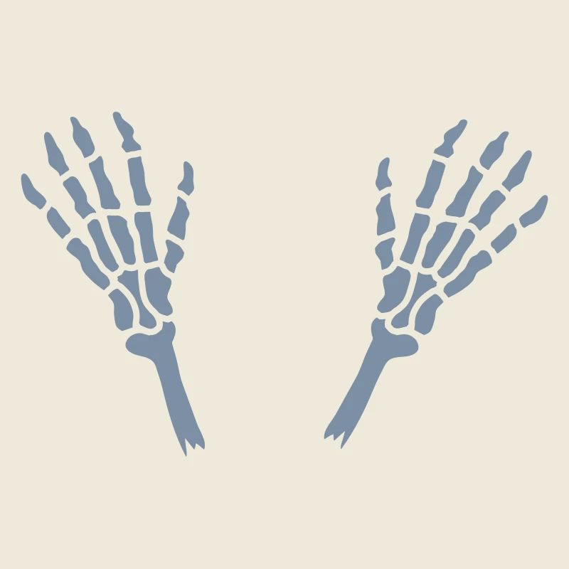 Os des mains squelettiques sectionnés