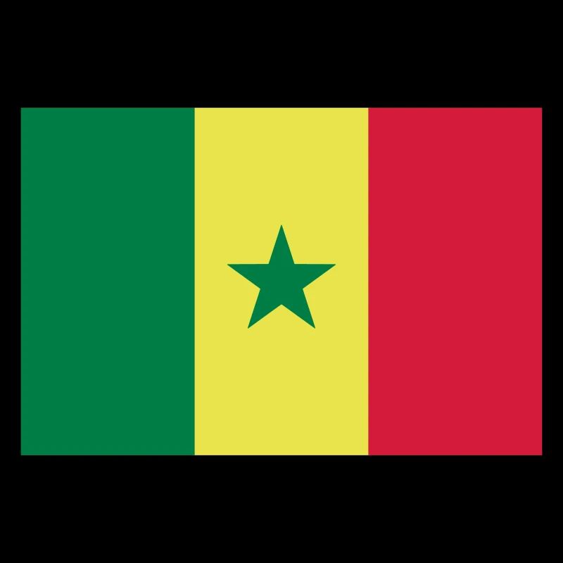 Drapeau Sénégal / Senegal flag