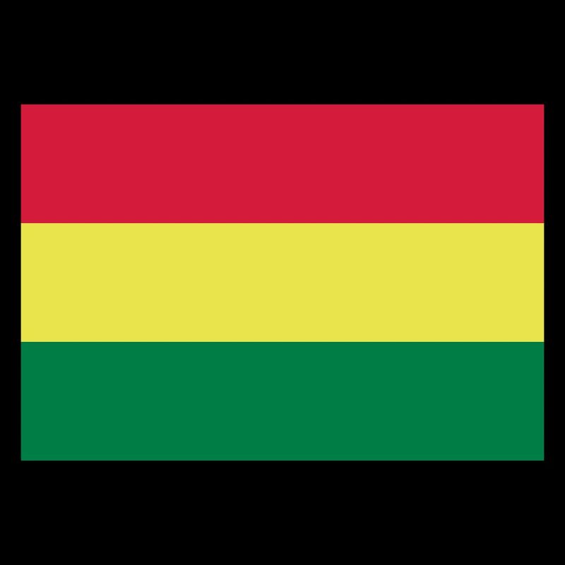 Bolivia flag / Drapeau Bolivie