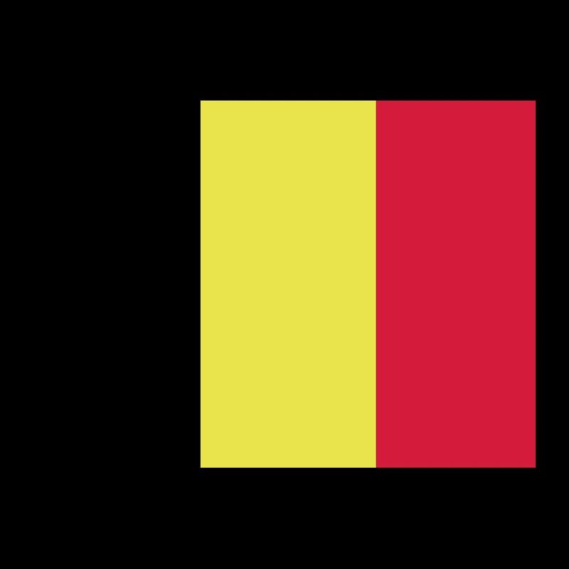 drapeau belge