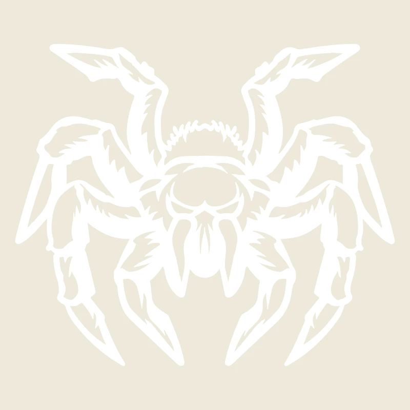 araignée