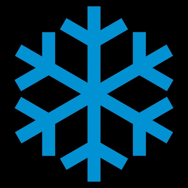 Snowflake Weather Icon Icon